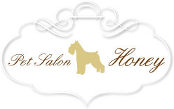 犬のトリミング専門店 ペットサロンハニー 新座店