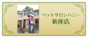 ペットサロンハニー新座店のページへ
