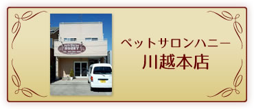 ペットサロンハニー川越本店のページへ